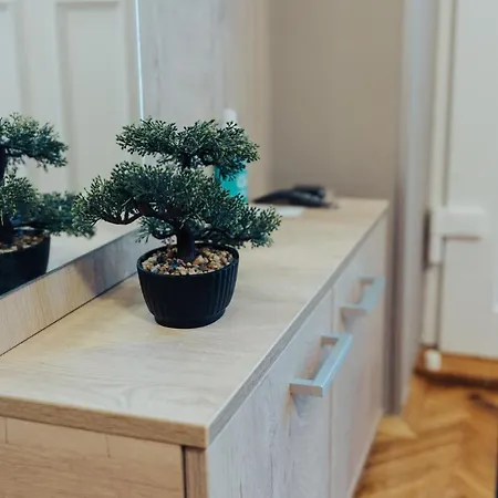 Апартаменты Dumalux Velvet Суботица